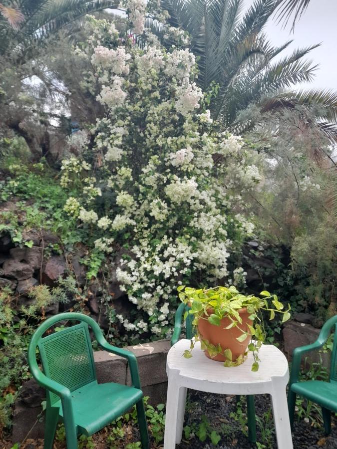-The Garden - Apartment Las Palmas de Gran Canaria Luaran gambar