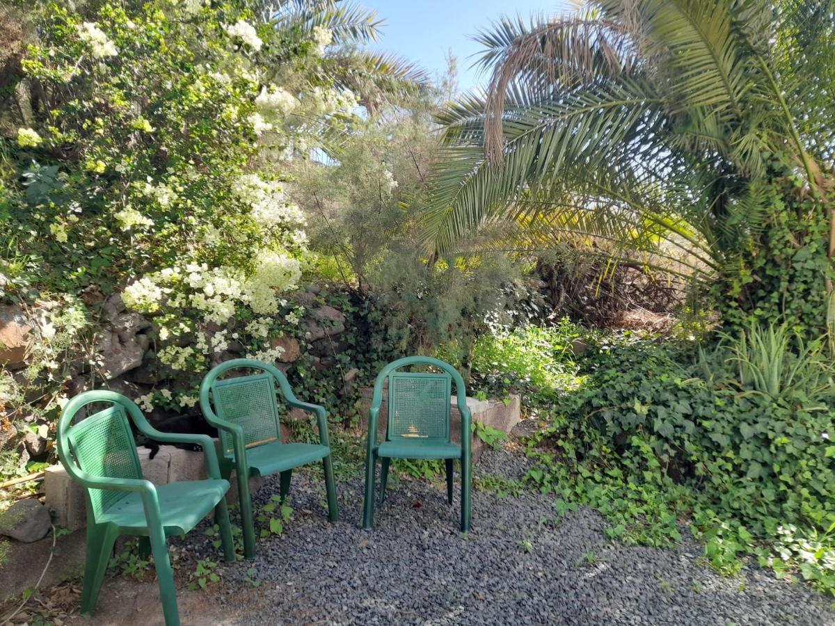 -The Garden - Apartment Las Palmas de Gran Canaria Luaran gambar